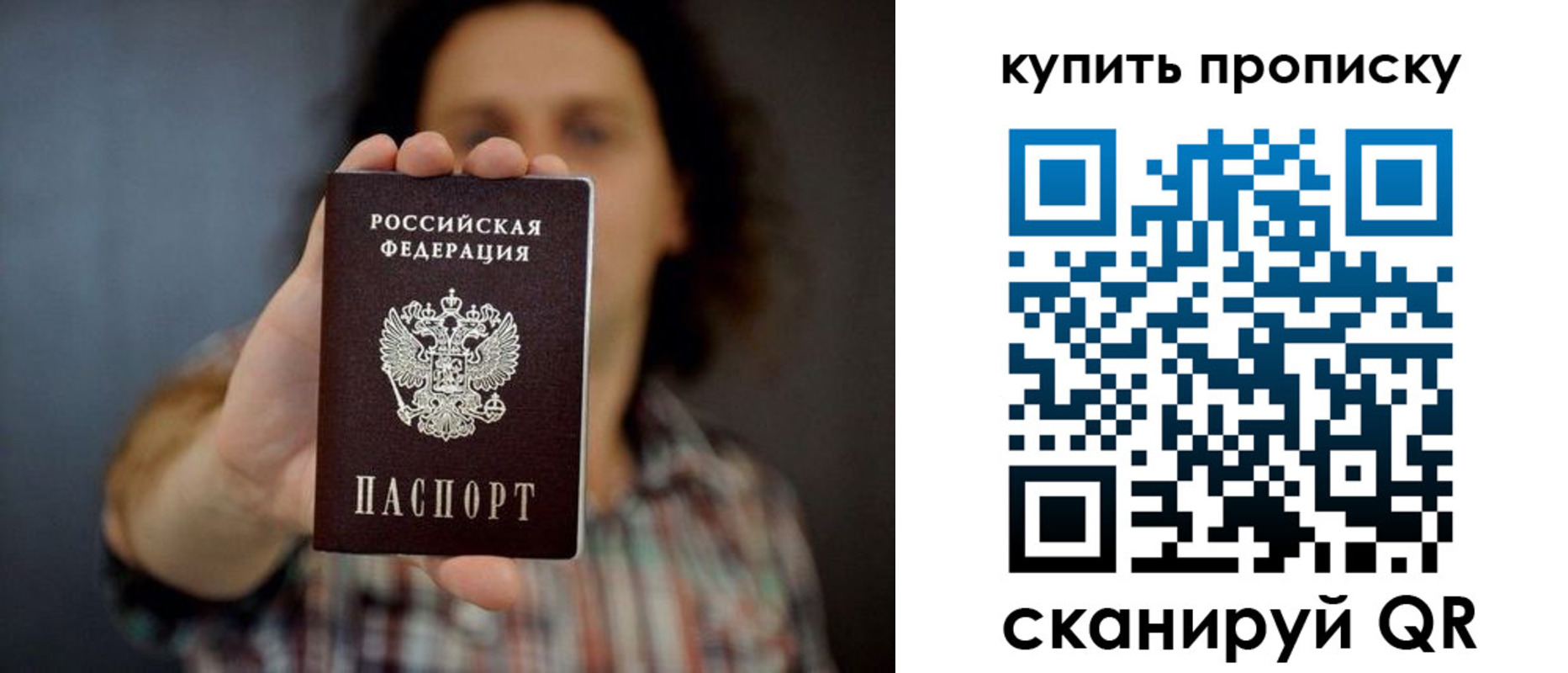 прописка законно в Коле